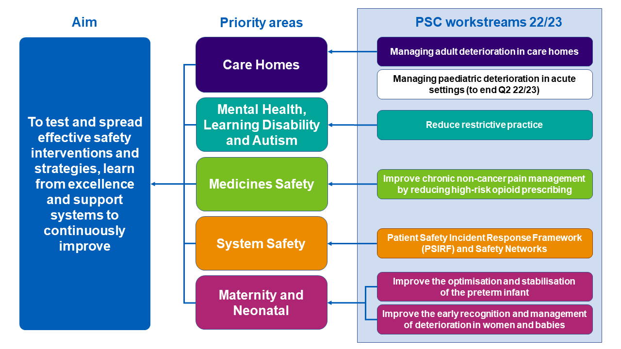 National Patient Safety Improvement Programmes driver diagram 2022-23