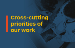 Coloured block with text. Text reads: Cross-cutting priorities of our work