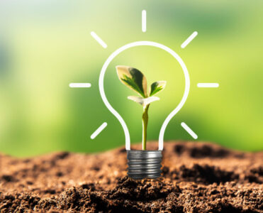 Light bulb with growing plant. Ecological friendly and sustainable environment