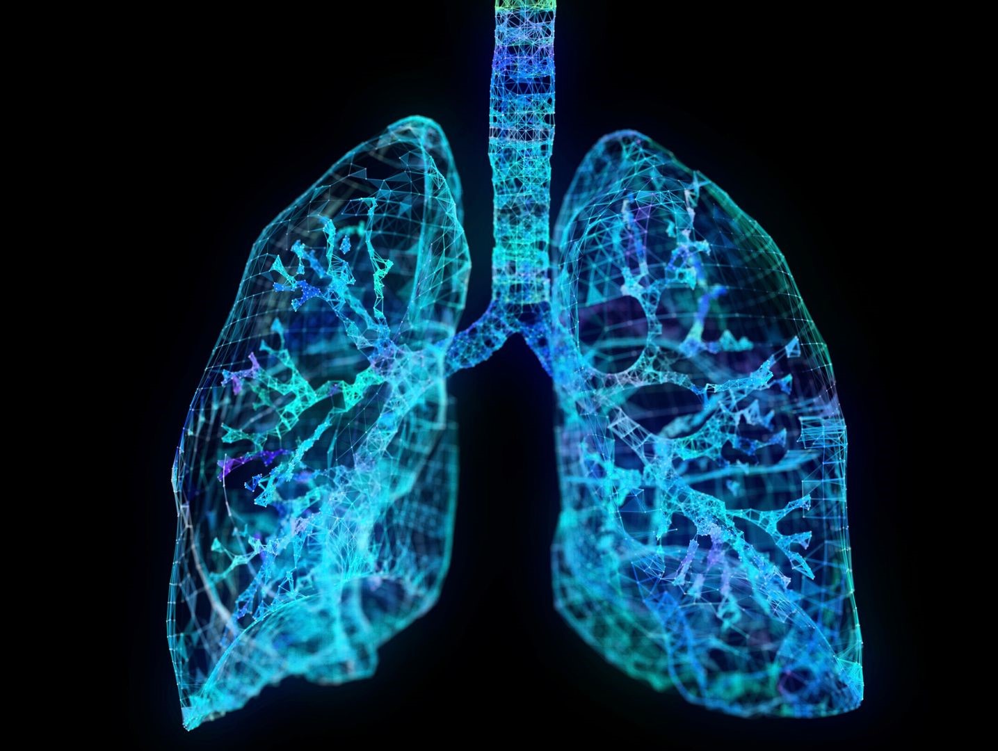 Digital image of lungs